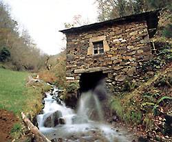 20080407103205-molin.jpg